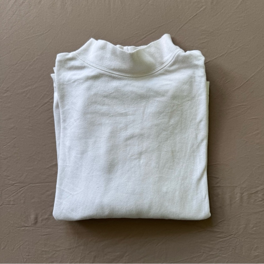 Vintage Appleseeds Long Sleeve Mockneck tee